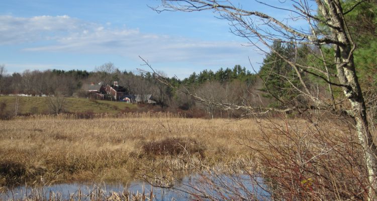 Great Meadow Farm