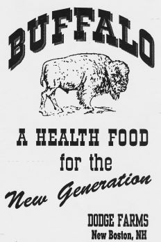 buffalo poster