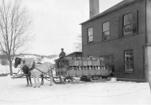 Delivery sled