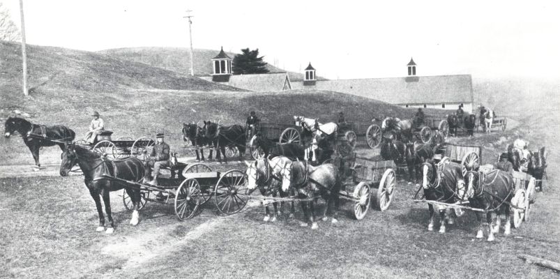 Whipple's horses