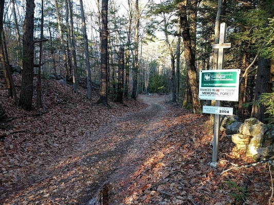 Frog Rock directions