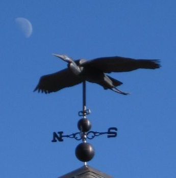 weathervane