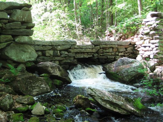 Morgan's Mill Dam